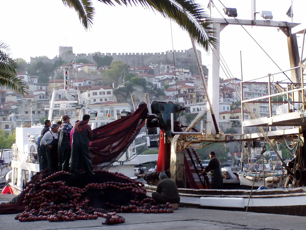 The-Harbour